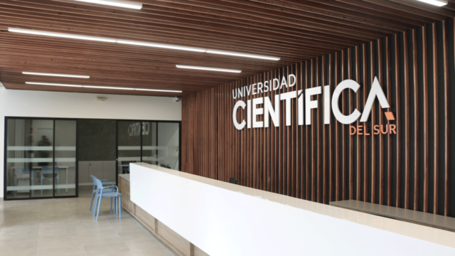 Proyecto - Universidad Científica del Sur
