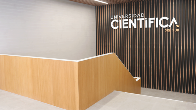 Proyecto - Universidad Científica del Sur