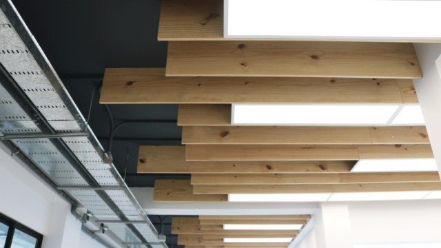 Proyecto - Universidad Científica del Sur