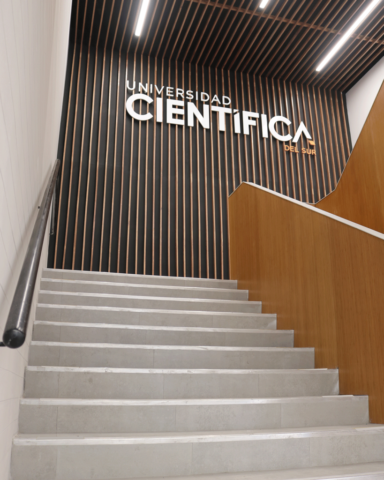 Proyecto - Universidad Científica del Sur